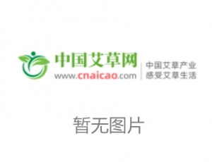 甘肅涇川：招商引資盤活資源