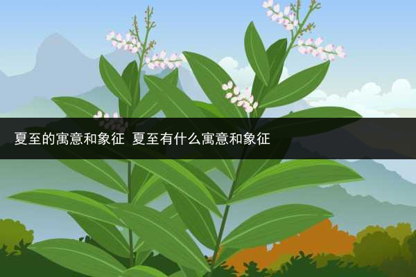 夏至的寓意和象征 夏至有什么寓意和象征
