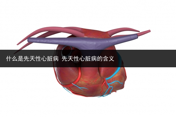 什么是先天性心臟病 先天性心臟病的含義