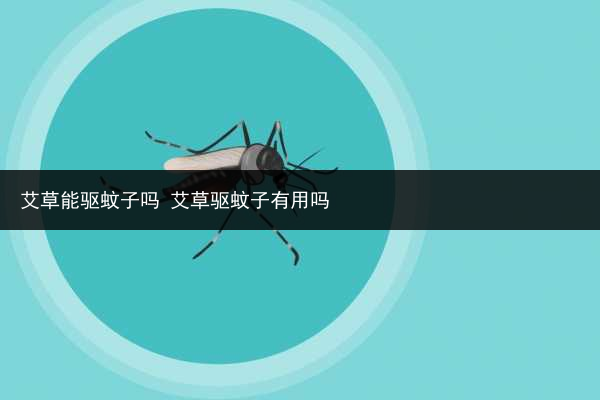 艾草能驅(qū)蚊子嗎 艾草驅(qū)蚊子有用嗎