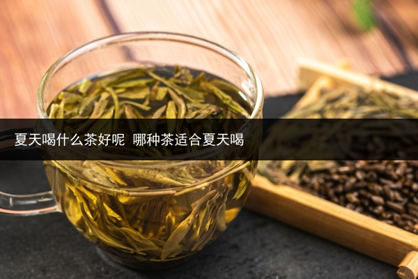 夏天喝什么茶好呢 哪種茶適合夏天喝