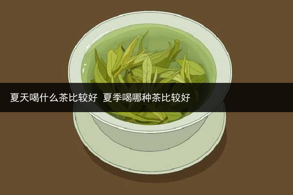 夏天喝什么茶比較好 夏季喝哪種茶比較好