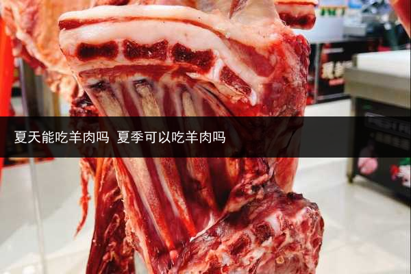 夏天能吃羊肉嗎 夏季可以吃羊肉嗎