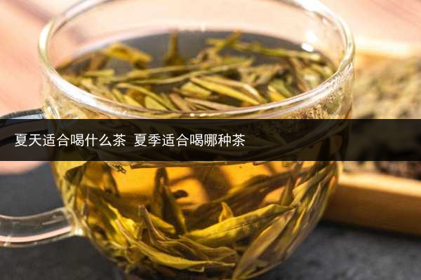 夏天適合喝什么茶 夏季適合喝哪種茶