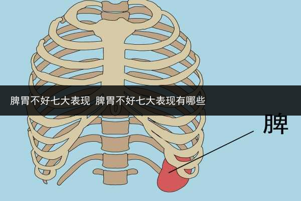 脾胃不好七大表現 脾胃不好七大表現有哪些