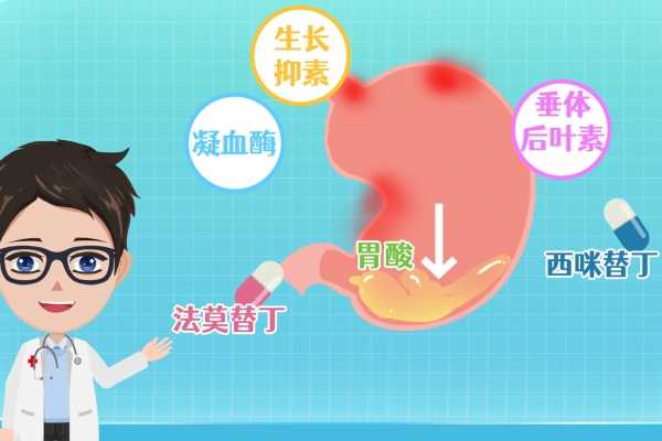 脾胃虛寒怎么調理 脾胃虛寒如何調理