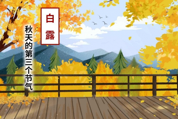 什么時候白露 白露的象征