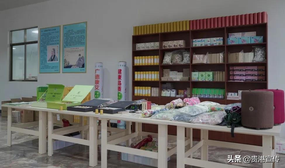 貴港這個地方有艾！探訪艾草制品生產…