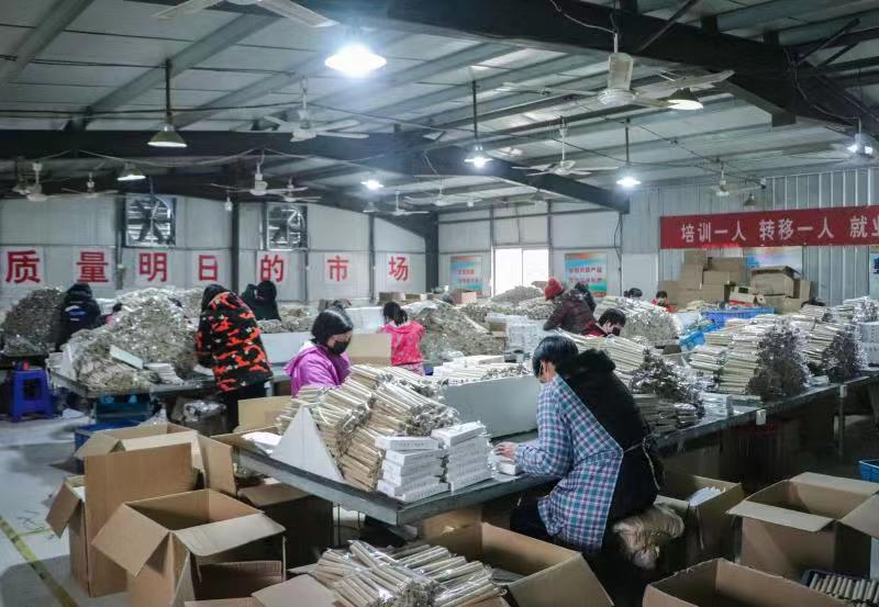 按部就班從容應對疫情復工復產 南陽華康艾制品有限公司在行動