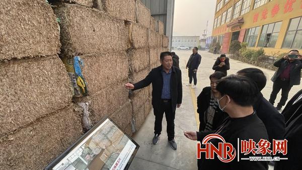南陽：抓住發展機遇 讓艾草香飄向世界