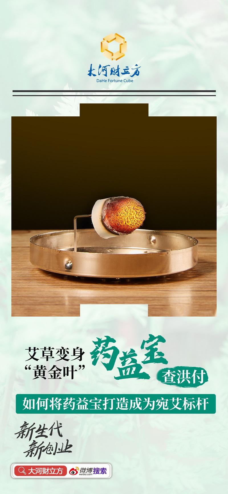 艾草變身“黃金葉”，查洪付如何將藥益寶打造成宛艾標桿