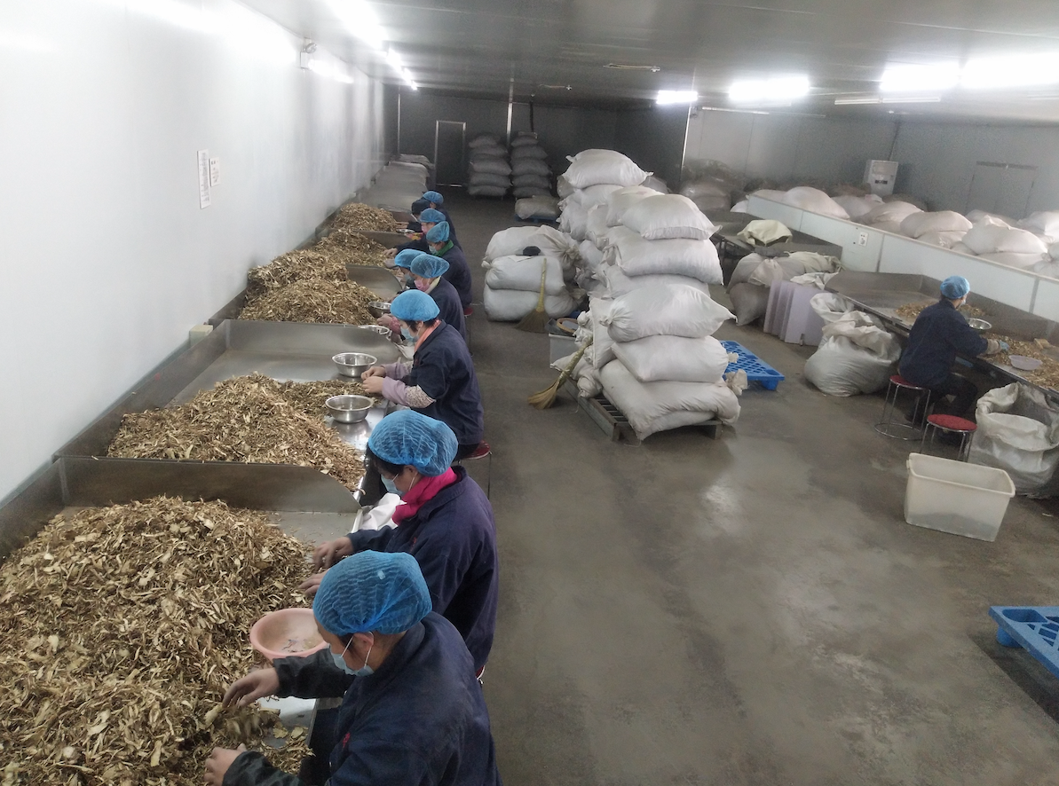 “千年藥都”安國重點中藥企業復工，保障防疫藥品供應