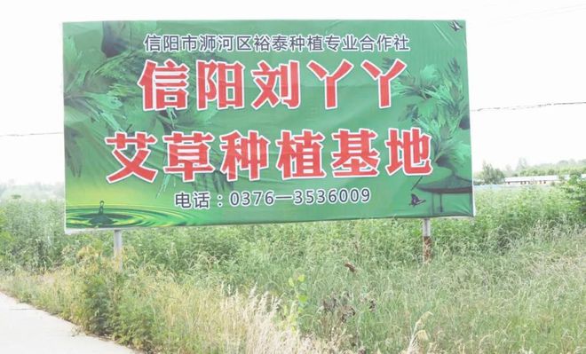 信陽(yáng)劉丫丫電子商務(wù)有限責(zé)任公司