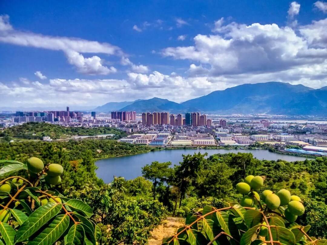 福建省福州市——中國最大的青橄欖生產(chǎn)商