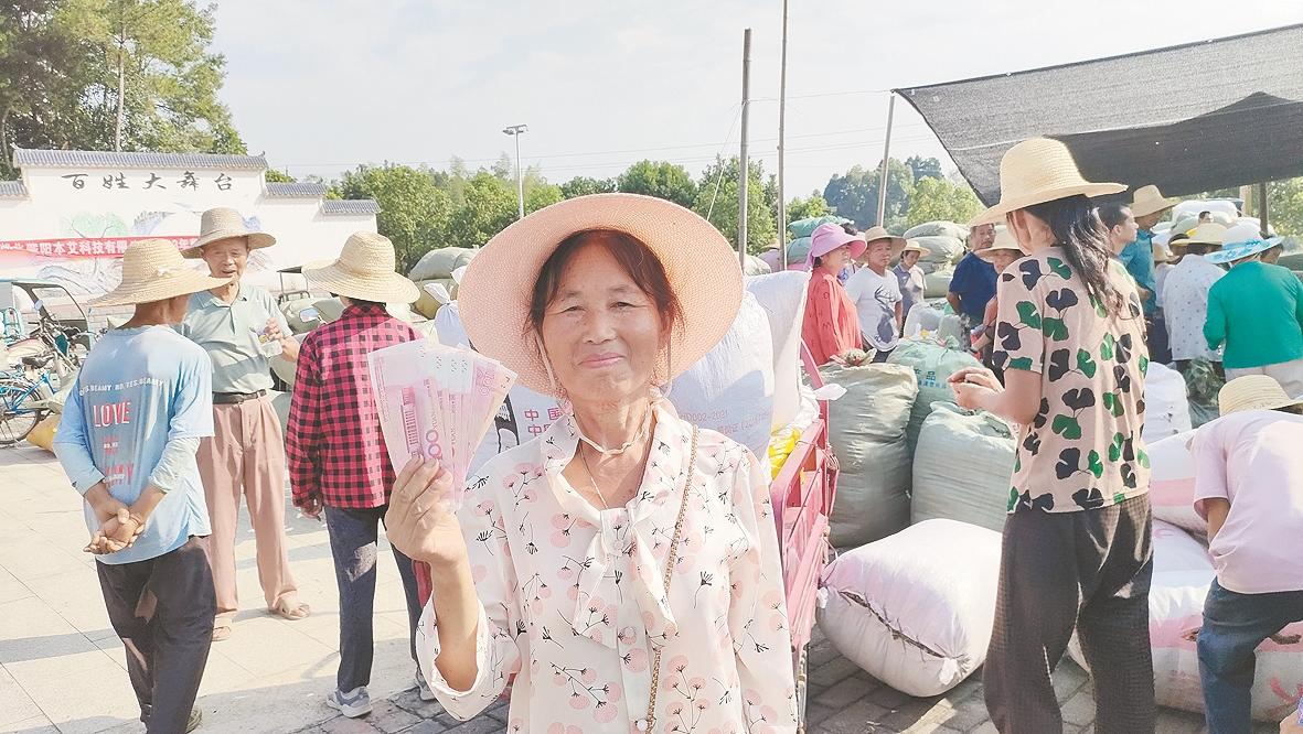 湖北蘄陽本艾科技有限公司收購蘄艾儲備艾產品原材料