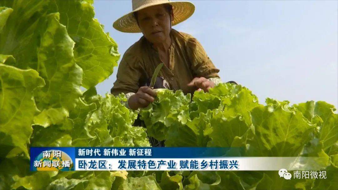 南陽市臥龍區(qū)：發(fā)展特色產(chǎn)業(yè) 賦能鄉(xiāng)村振興