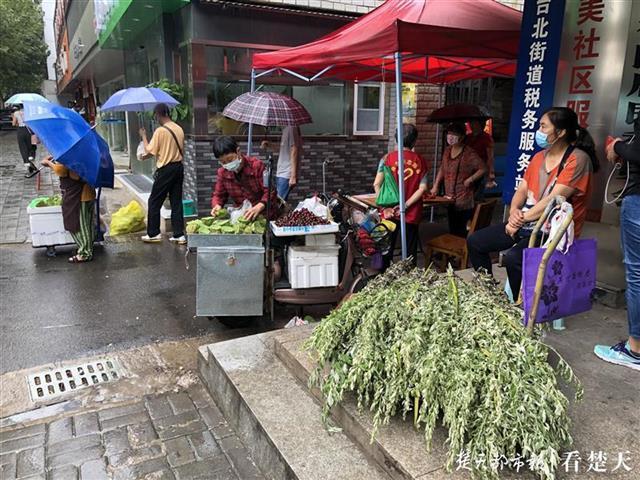 10元一把艾草賣斷貨，野生艾草或成武漢又一特色產業