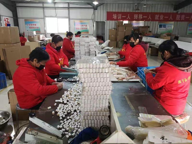 南召：“小艾草”變身“吉祥寶”