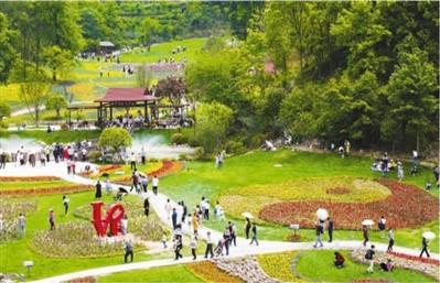 湖北黃岡：以特色產業振興，推動鄉村全面振興