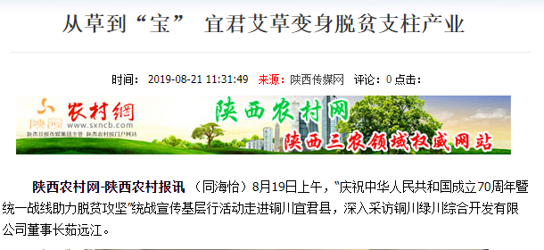 政府助推艾草產業，共克疫情！小艾草帶動"大扶貧"