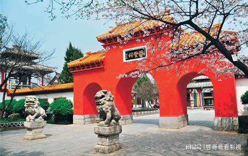 南陽：勇蹚振興中醫中藥路子
