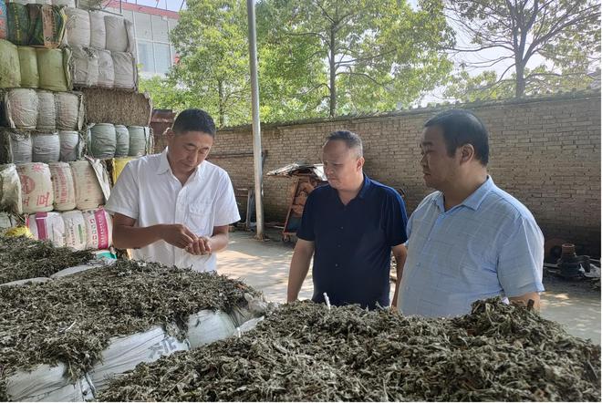 主動(dòng)洽談對接 助力臥龍艾制品出口歐盟