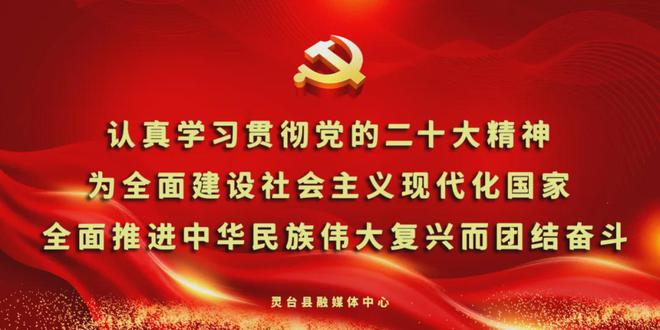 靈臺：打造艾草產業鏈 擦亮中醫康養名片