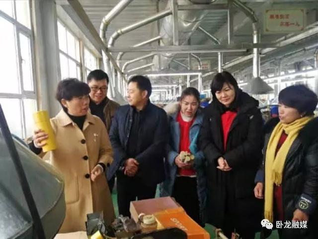臺灣客商到南陽市臥龍區考察艾草產業