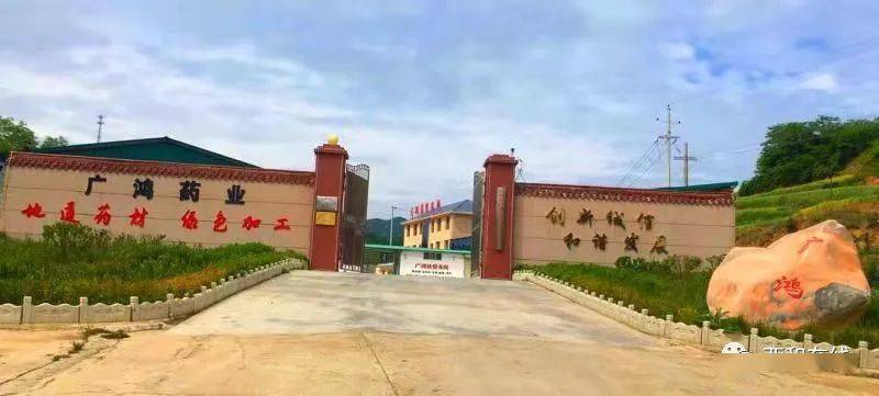 西和縣百草堂中藥材有限公司中藥村及農(nóng)產(chǎn)品促銷(xiāo)活動(dòng)……