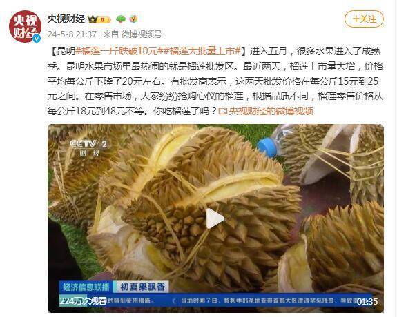 榴蓮一斤跌破10元！昆明榴蓮大批量上市