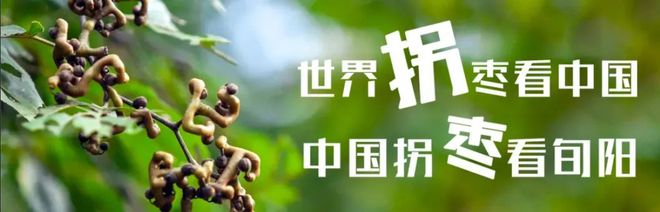 陜西多地發布由西安來返最新政策！|| 897關注