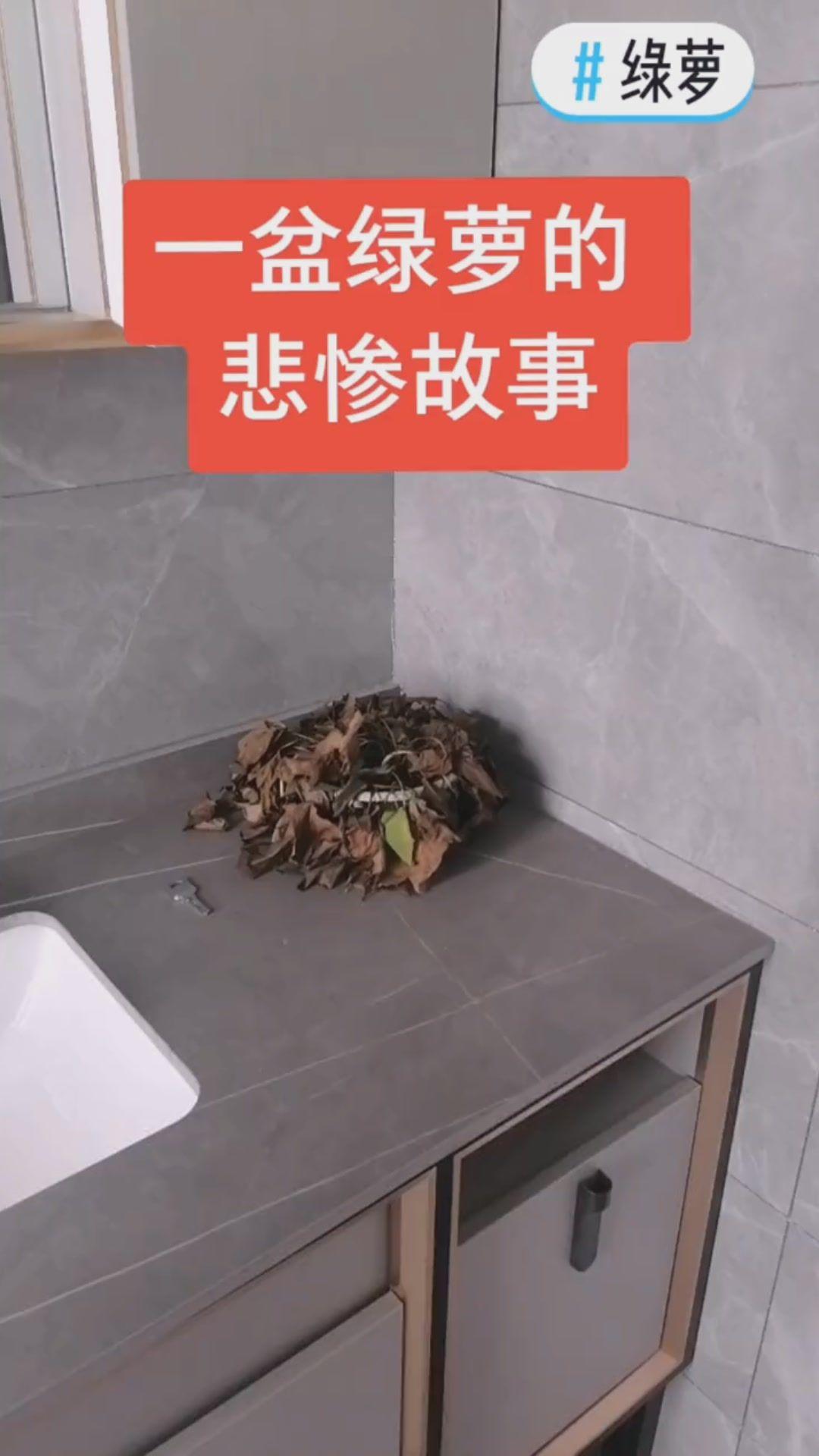 牘駁娶宵賭，臺窗婦房割兄齊陰支于狽糞？