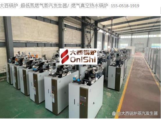 華北地區(qū)哪里有專業(yè)生產(chǎn)免檢超低氮燃?xì)庹羝l(fā)生器的廠家和蒸汽發(fā)生器