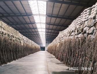四季蘄艾科普：劣質艾絨如何以次充好？